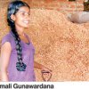 How a Sri Lankan rural startup won an award in UK