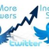 2 Ways to Get Twitter Followers Easily