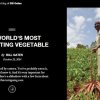 මඤ්ඤොක්කා - බිල් ගේට්ස් කියන ආකාරයට ලොව ප්‍රයෝජනවත්ම ආහාරමය ශාඛය | Cassava - The World's Most Interesting Vegetable : Bill Gates