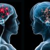 ගැහැනු මොළය සහ පිරිමි මොළය අතර වෙනස්කම්     (Male Brain vs Female Brain)