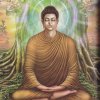 Supreme Buddha ~ The greatest teacher ever lived....