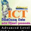 A/L ICT 2013 Model Paper MCQ Sinhala & English