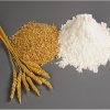 History of Wheat Flour in Sri Lanka | පාන් පිටි වල ඉතිහාසය දන්නවාද?