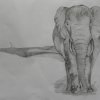 African Elephant Sketch