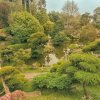 [Photoblog] Japanese Tea Garden - Golden Gate Park