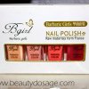 Review of 4pcs/Set Elegant Style Sweet Pink Nail Art Polishes E Series from Bornprettystore