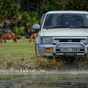 Off Roading in Mannar with Wild Horses 