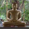 The Statue of Lord Buddha at Siddhalepa Resort -...