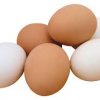 EGGS AND THEIR NUTRITION