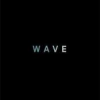 Wave by Sonali Deraniyagala