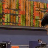 Stock Market සිංහලෙන් #05 - සමාගම් හඳුනා ගැනීම