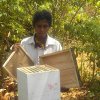 Beekeeping in Srilanka  special photos with Beekeeping farm  wife