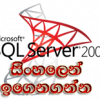 SQL Server Sinhalen