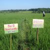AT362 Registered seed paddy trial Srilanka