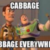 Cabbage Happens