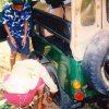 First Venture into Wilpattu in 2003 During the Cease Fire Agreement