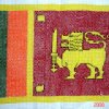 Sri Lankan Flag - Cross Stitch