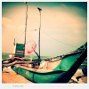 Fishing boat at arugam bay sei lanka