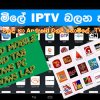 FREE IPTV ON PC (DIALOG MYTV)