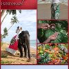 The Perfect Honeymoon  @ Reef Villa & Spa Sri Lanka