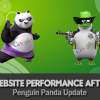Top five areas for SEO Expert to look upon for Website Performance After Penguin Panda Update