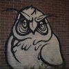 The Graffiti Owl