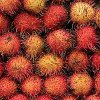 Glut of Rambutans? Have yourself a Rambutan and Lime Cocktail
