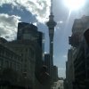 Travel Diaries – Auckland, New Zealand