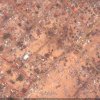 Sri Lanka’s forgotten mass graves: Google Earth and remembering the dead in Nandikadal