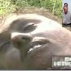 Several photos of dead LTTE leaders released