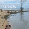 Precarious – poems by Aparna Halpe