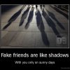Fake Friend ...