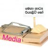 මාධ්‍ය උගුලේ හසුවන මනුසත්තු - Humans Trapped by Media