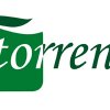 Torrent File Download