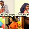 Memory Back – Wassane Premaya – Weeks 56 & 57 review