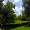 Ruins of Mahamevnawa Park, Anuradhapuraya, Sri LankaRead more...