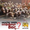 කොරෝනා නසන්න පර්ලිමේන්තුව ඕනිමද