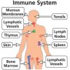 COVID-19 Vs. Human Immunity