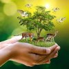 World Nature Conservation Day