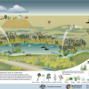 Wetlands: The Heart Of Biodiversity