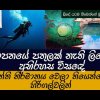 ලිඳෙන් අතුරුදහන් වෙලා මුහුදෙන් මතුවෙයි මතකද? අභිරහස විසඳේ . Nilavarai Well