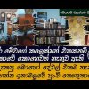 ලංකාවේ පුංචි කෞතුකාගාරය 1 - අරුම පුදුම දේවල් ගොඩාක් තියන අනිවාර්යෙන්ම ඔබ යන්නම ඕනේ-Padeniya Antiques