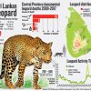 Don’t frighten leopards out of existence