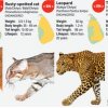 International wildcat experts to meet in Sri Lanka