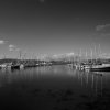 Evans Bay Marina [IMG_0066] by Kesara Rathnayake

	Via...