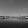 Reflections of Evans Bay Marina [IMG_0067] by Kesara...