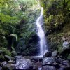 Percy Scenic Reserve Waterfall [IMG_0374] by Kesara...