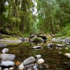 Reflections from Stocking Creek [IMG_1504] by Kesara...