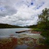 Waikato River [IMG_2632] by Kesara Rathnayake

	Via...