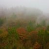 Colours of Glendalough